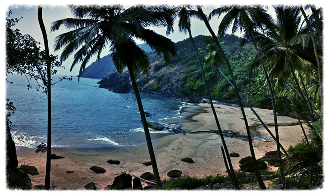 Blue Lagoon Goa 2* Cola