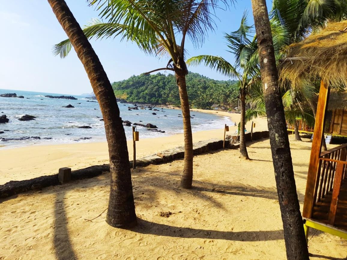 Blue Lagoon Goa Cola