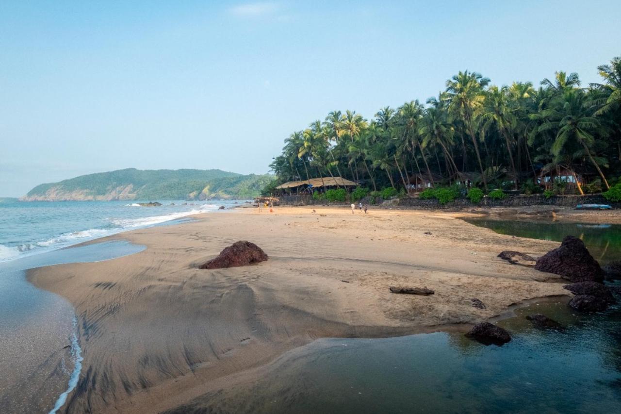 Blue Lagoon Goa Cola