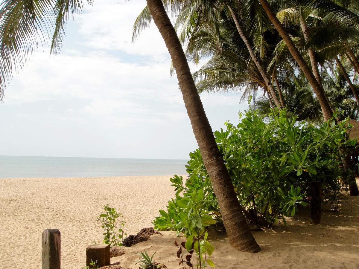 Blue Lagoon Goa Cola
