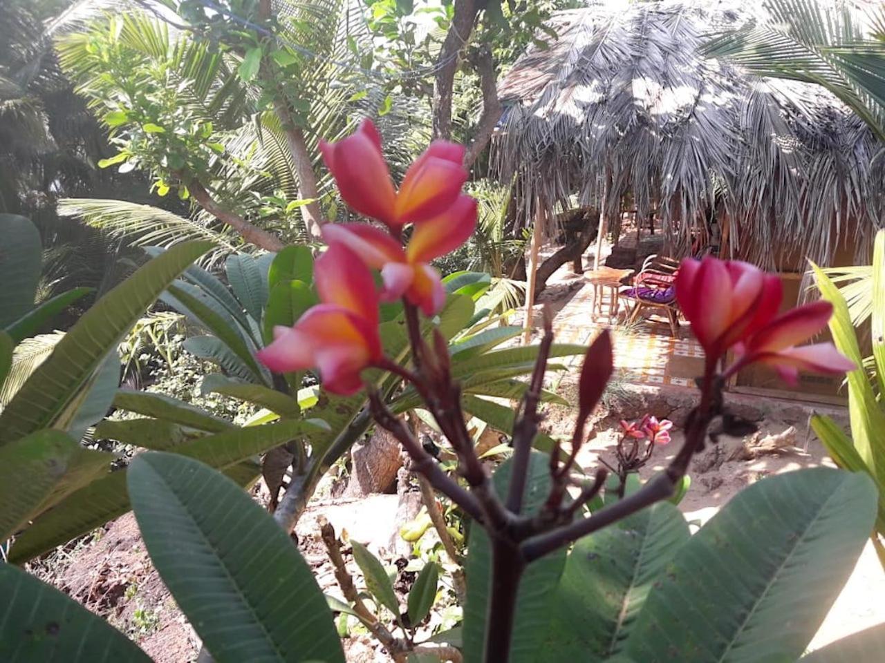 Blue Lagoon Goa