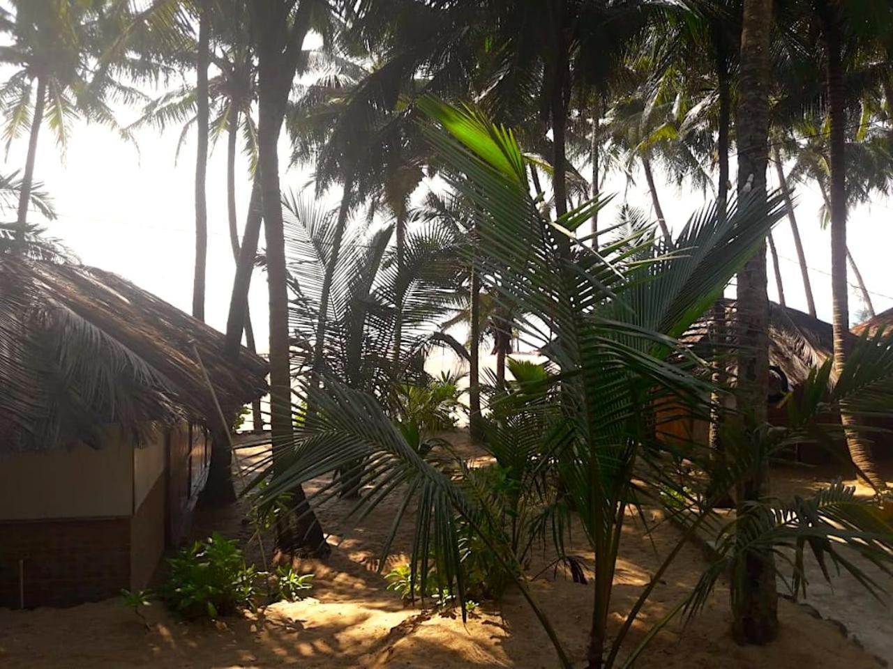Blue Lagoon Goa Cola